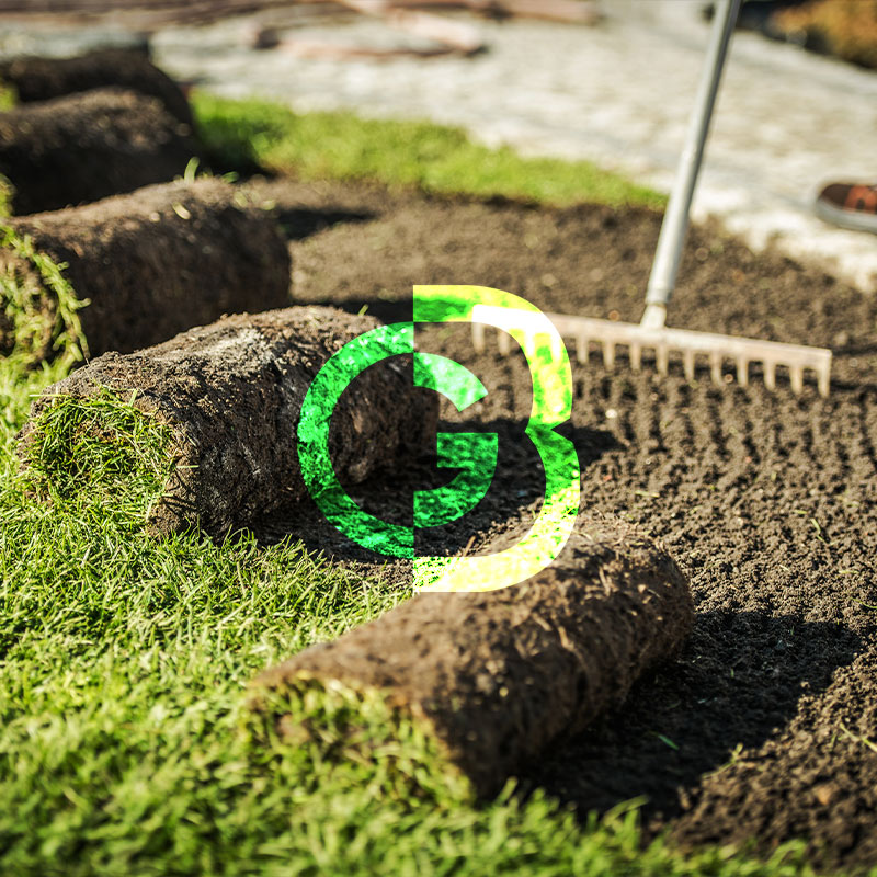 Instalación de pasto